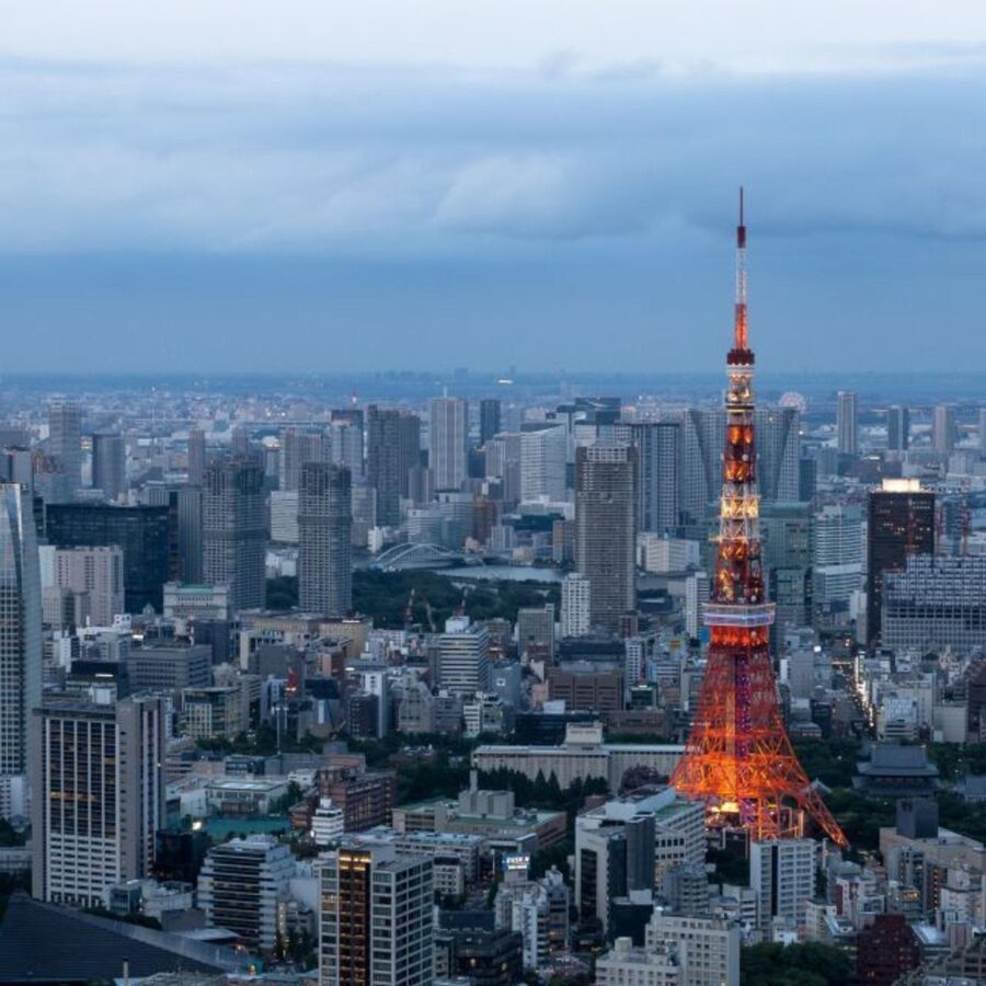 Tokyo Customize Private City Tour By English Speaking Driver - The Imperial Palace and its East Garden
