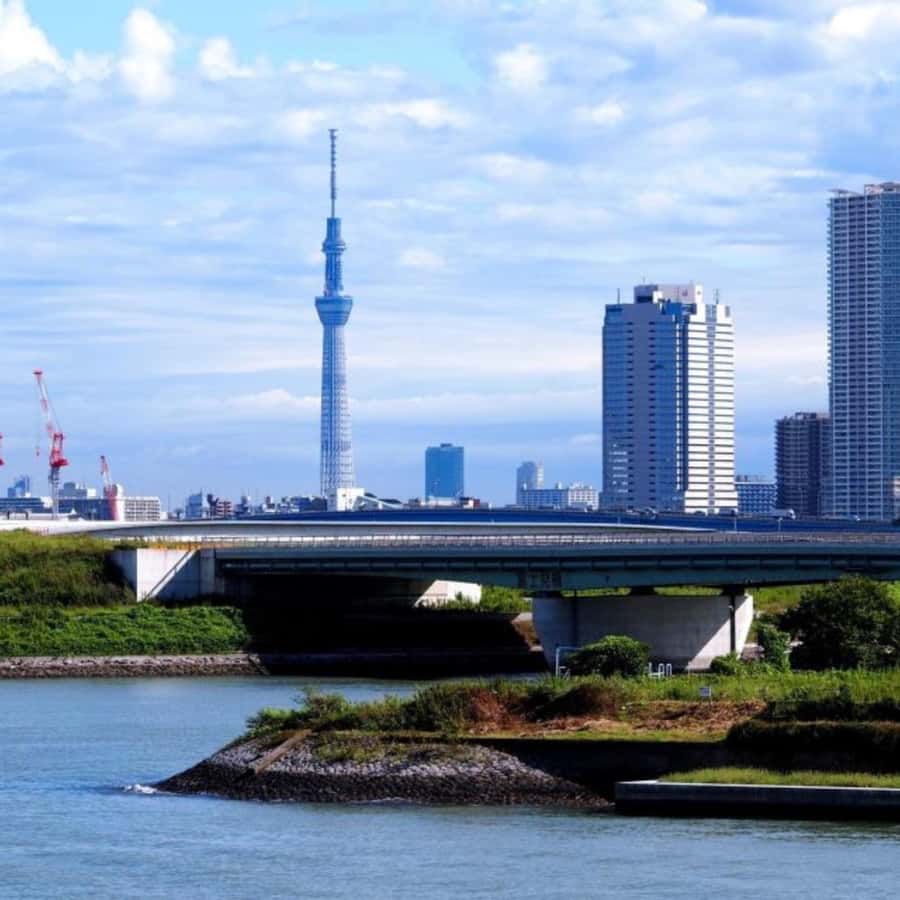 Tokyo Customize Private City Tour By English Speaking Driver - Shibuya Crossing and the last big city hit