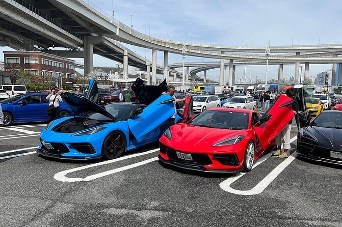 Tokyo Daikoku PA. Custom Car Tour - Why Daikoku PA Matters to Car Fans