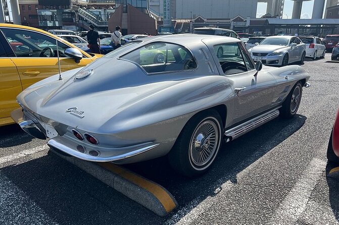 Tokyo Daikoku PA. Custom Car Tour - What the Driver-Guide Adds to the Evening