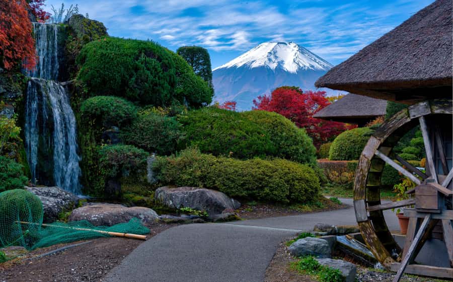 Tokyo day trip -Mount Fuji Private Tour from Tokyo - Key points to know before booking