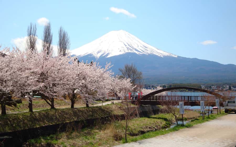 Tokyo day trip -Mount Fuji Private Tour from Tokyo - Why a private Fuji day trip can make sense