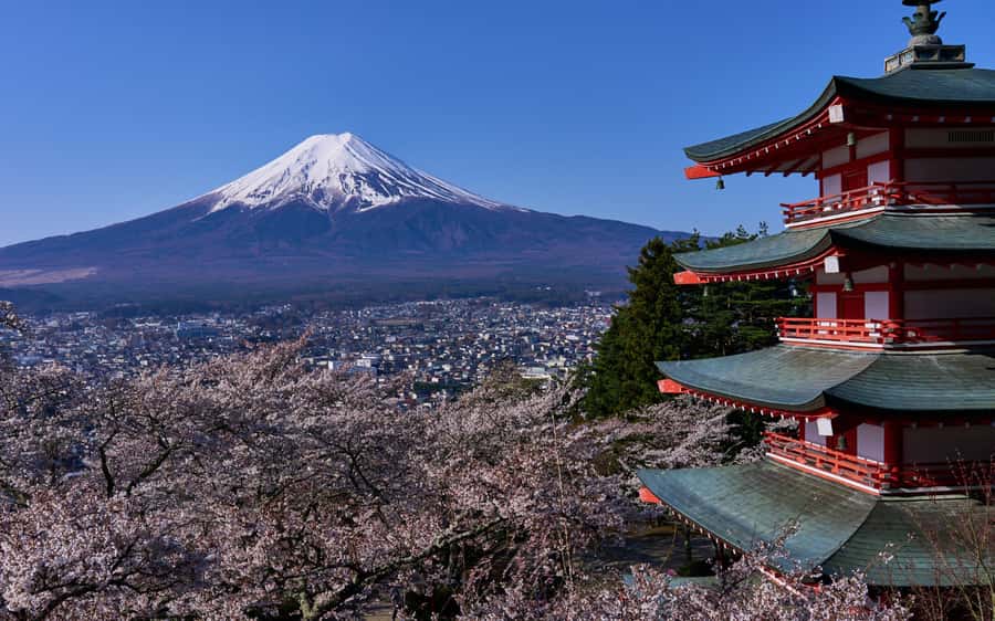 Tokyo day trip -Mount Fuji Private Tour from Tokyo - Oshino Hakkai and the village side of Fuji