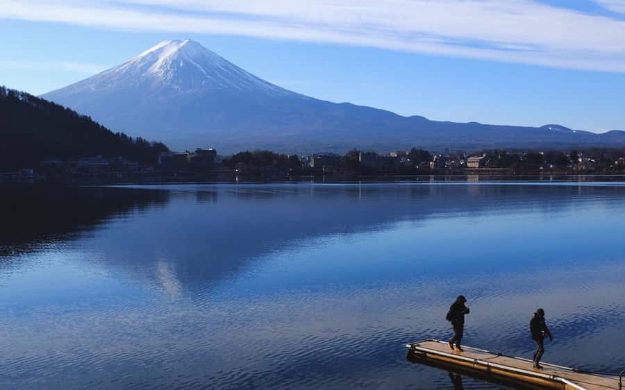 Tokyo day trip -Mount Fuji Private Tour from Tokyo - Oishi Park and Lake Kawaguchiko