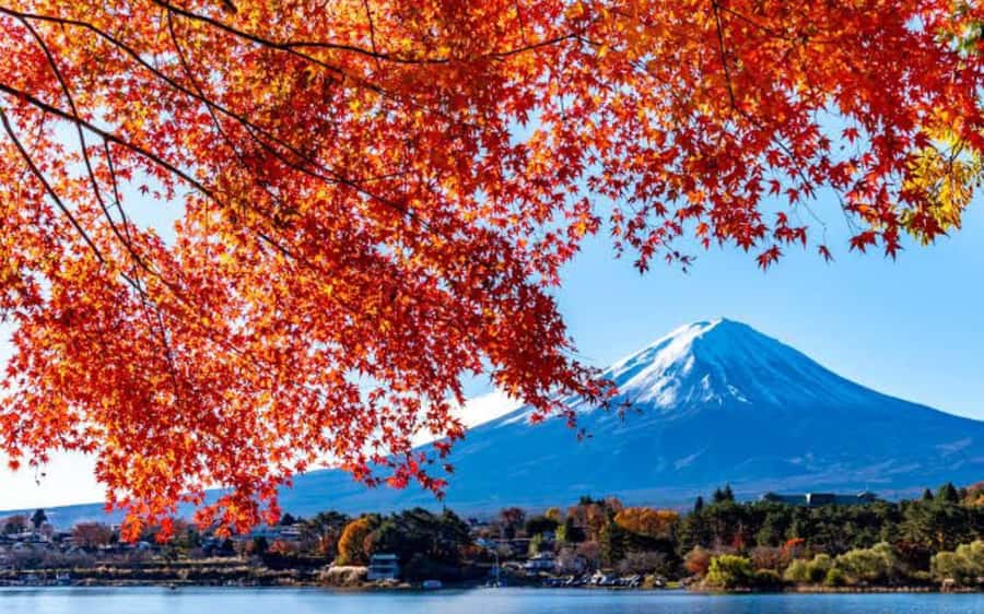 Tokyo day trip -Mount Fuji Private Tour from Tokyo - What the day feels like in practice