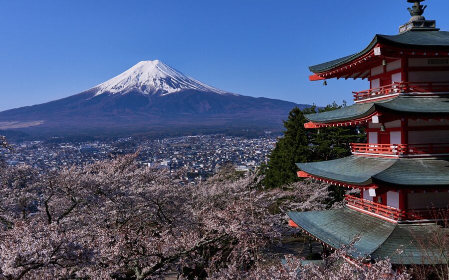 Tokyo day trip -Mount Fuji Private Tour from Tokyo - Is $558 good value for six people?