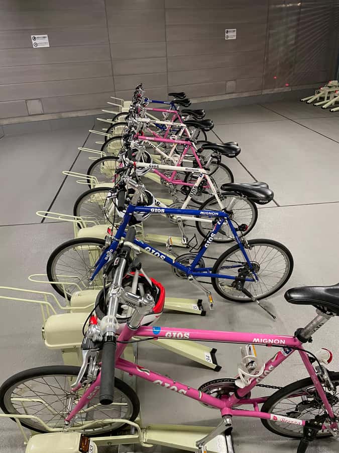 Tokyo: Discover Traditional Tokyo Full-Day Bicycle Tour - Tsukiji, bridges, and the waterfront