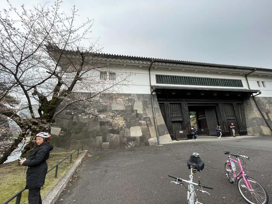 Tokyo: Discover Traditional Tokyo Full-Day Bicycle Tour - Old Tokyo around Tsukudajima and Tsukishima