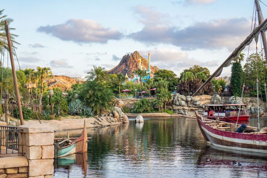 Tokyo Disneyland or DisneySea Ticket & Door to Door Transfer - Key points to know before booking