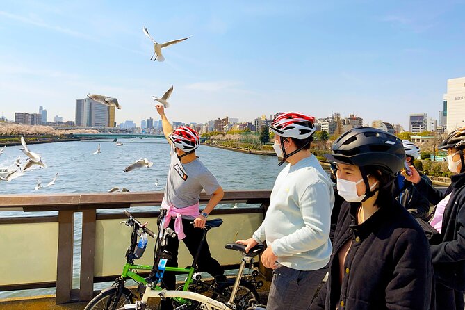 Tokyo downtown bicycle tour Tokyo Backstreets Bike Tour - Kyu Yasuda Garden and the sumo district
