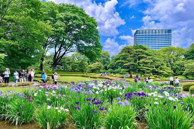 Tokyo: Edo Castle & East Garden of the Imperial Palace Tour - Who will enjoy this walk most
