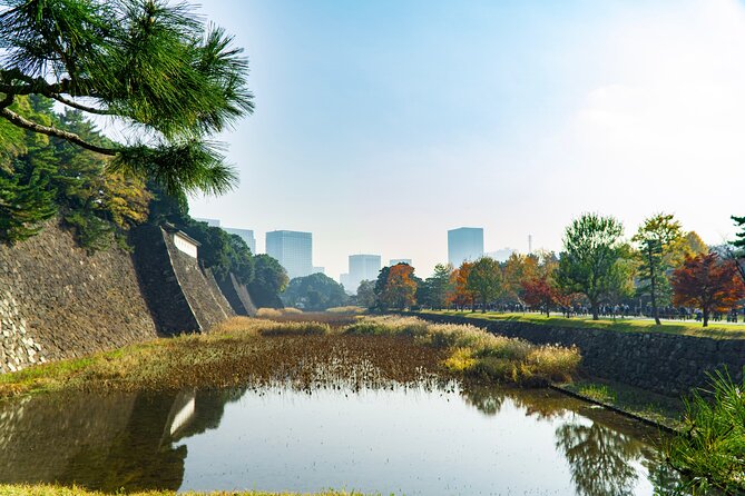 Tokyo: Edo Castle & East Garden of the Imperial Palace Tour - Meeting the guide at Wadakura Fountain Park