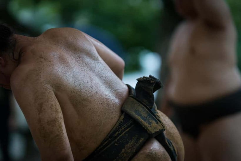Tokyo: Enjoy Sumo match and know about it! [Ticket included] - The Main Strengths and Weak Spots