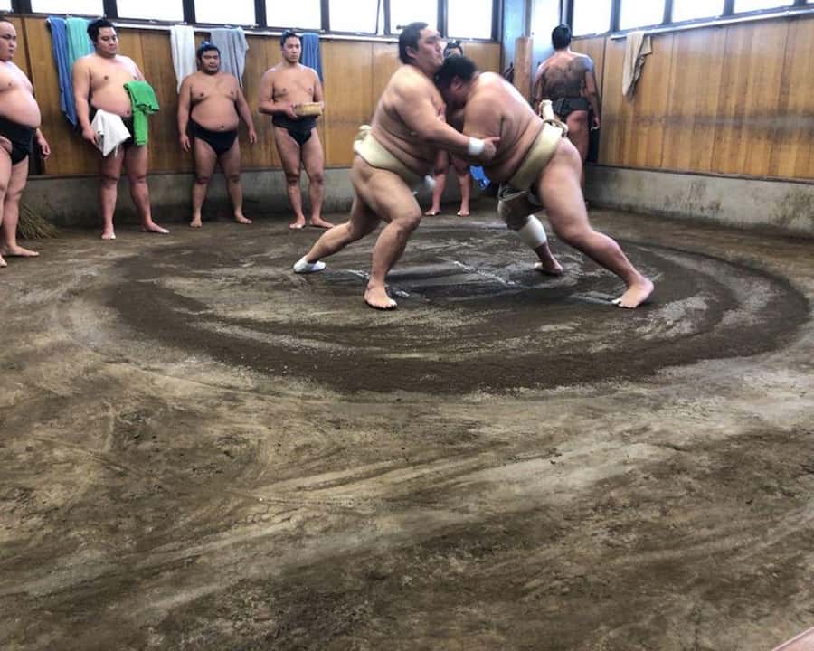 Tokyo: Exclusive Access to Sumo Morning Practice with Photos - Entering the stable and settling onto tatami