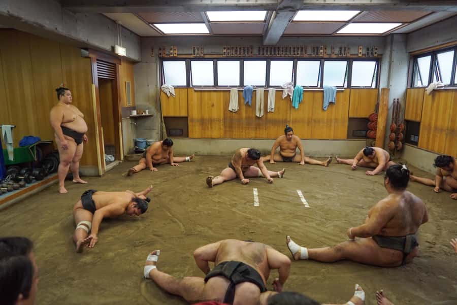 Tokyo: Exclusive Access to Sumo Morning Practice with Photos - What the guide adds to the visit