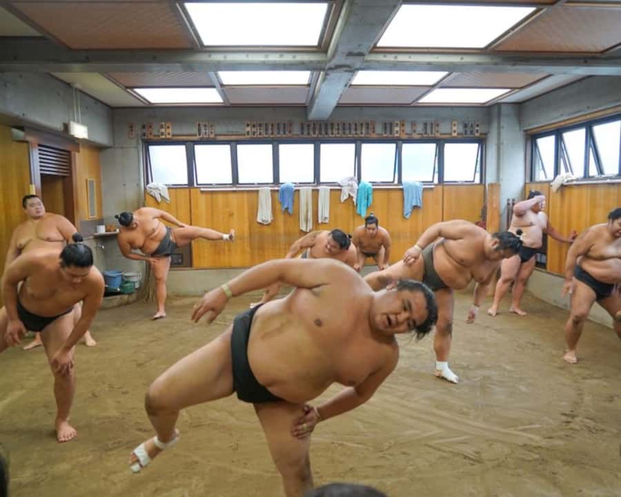 Tokyo: Exclusive Access to Sumo Morning Practice with Photos - Meeting at Oshiage Station Exit B3