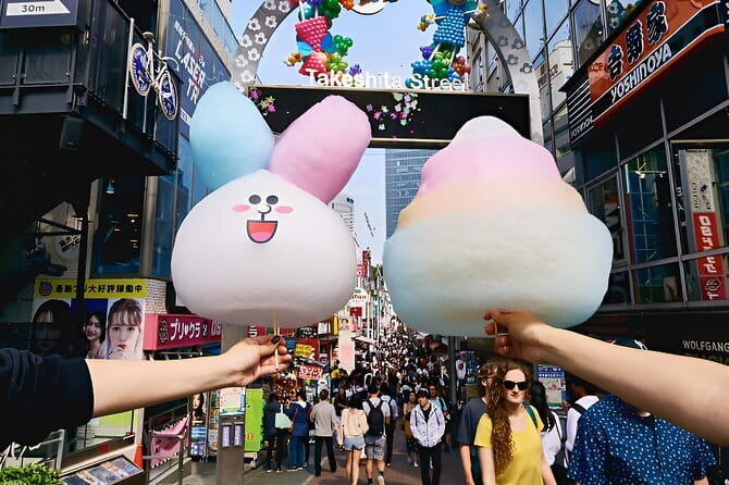 Tokyo: Exclusive City Highlights tour with Eng speaking Driver - What this private Tokyo tour really offers