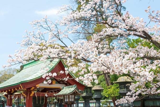Tokyo: Food Tour in Ueno with 10+ Tastings of Japanese Classics - Why Ueno makes such a good food-tour setting
