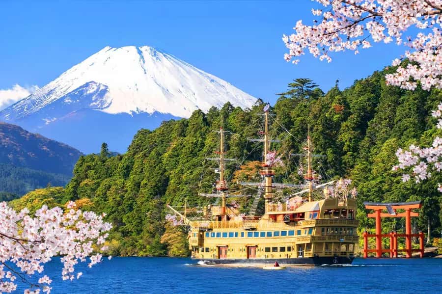 Tokyo: Fuji Cable Car Tour (Ticket Inc.) – Kawaguchiko Views - Key points at a glance
