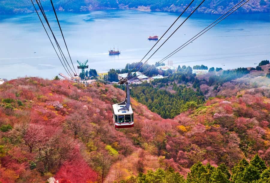 Tokyo: Fuji Cable Car Tour (Ticket Inc.) – Kawaguchiko Views - Weather, crowds, and the real Fuji gamble