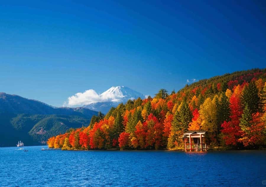 Tokyo: Fuji Cable Car Tour (Ticket Inc.) – Kawaguchiko Views - Shinkurayama Shingen Park and the famous Fuji photograph