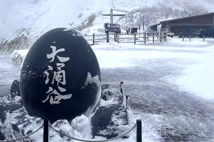 Tokyo: Fuji Cable Car Tour (Ticket Inc.) – Kawaguchiko Views - Lake Yamanaka and feeding the swans