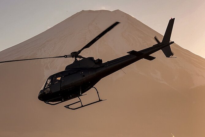 【TOKYO→FUJI】 Helicopter Oneway Transfer 35mins - Landing near Oshino, not at the end of your trip