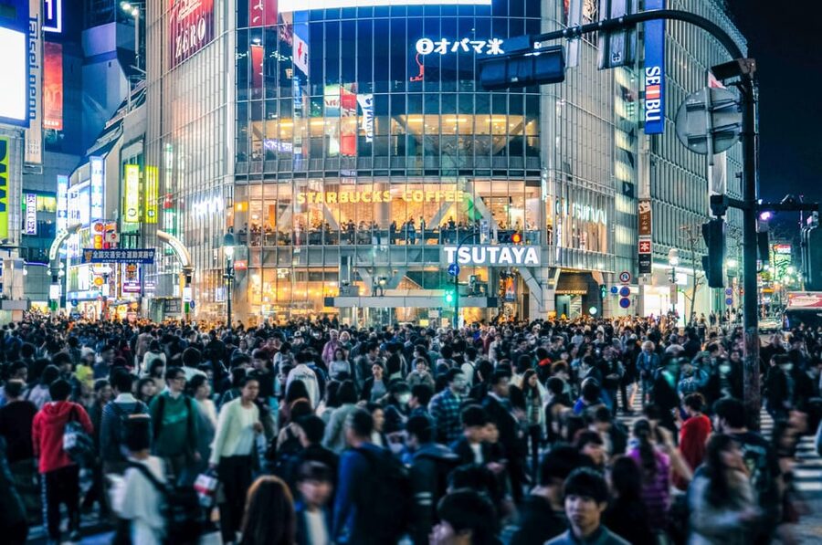 Tokyo: Full-day Immersive Private Tour by Premium Car - Key points to know before booking
