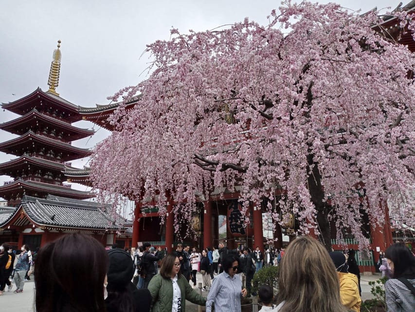 Tokyo: Full-day Immersive Private Tour by Premium Car - Takeshita Street shows Tokyo’s youthful side