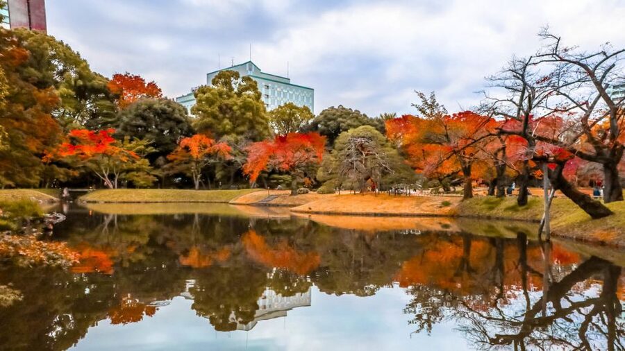 Tokyo: Full-Day Japanese Garden Private Guided Tour - A Six-Hour Introduction to Tokyo’s Garden Culture