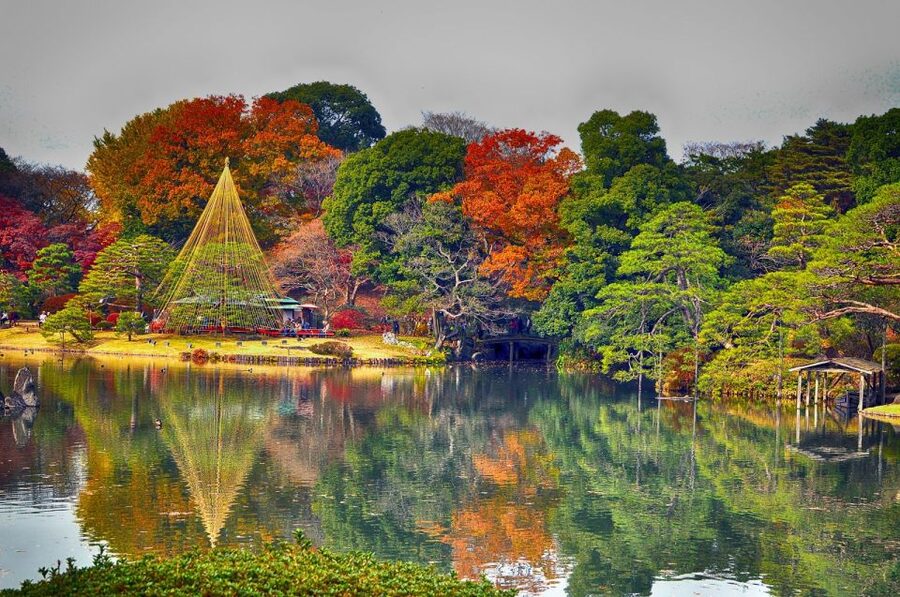 Tokyo: Full-Day Japanese Garden Private Guided Tour - Imperial Palace Gardens and the Formal Side of Tokyo