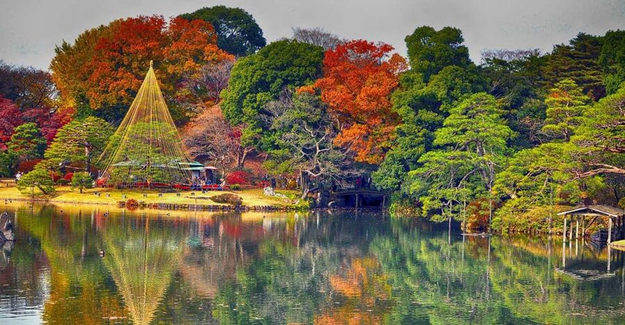 Tokyo: Full-Day Japanese Garden Private Guided Tour - Meiji-Jingu Shrine Adds Forest and Ceremony