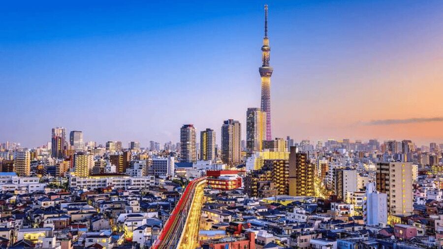 Tokyo Full day Private Customized Tour with English Driver - Key points to know before booking