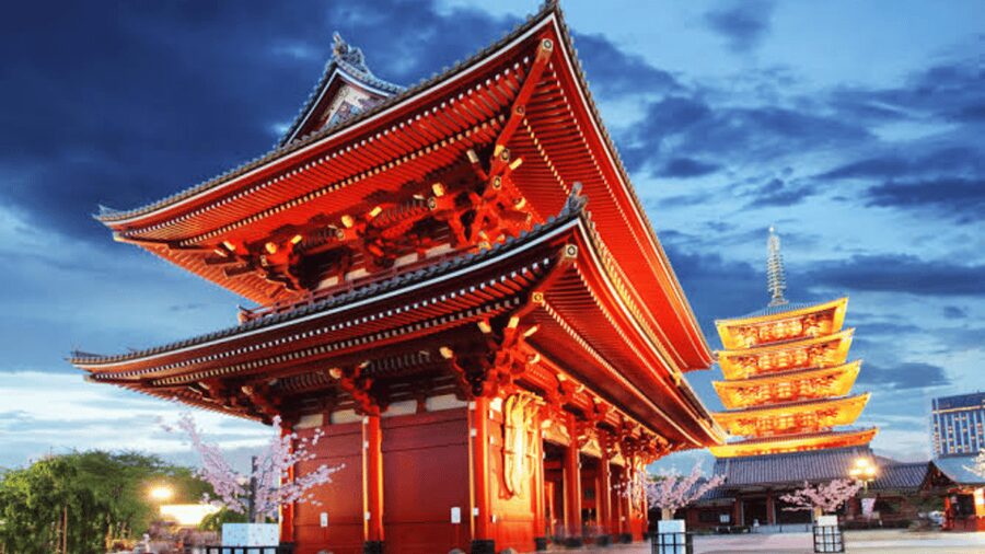 Tokyo Full day Private Customized Tour with English Driver - What this private Tokyo day really offers