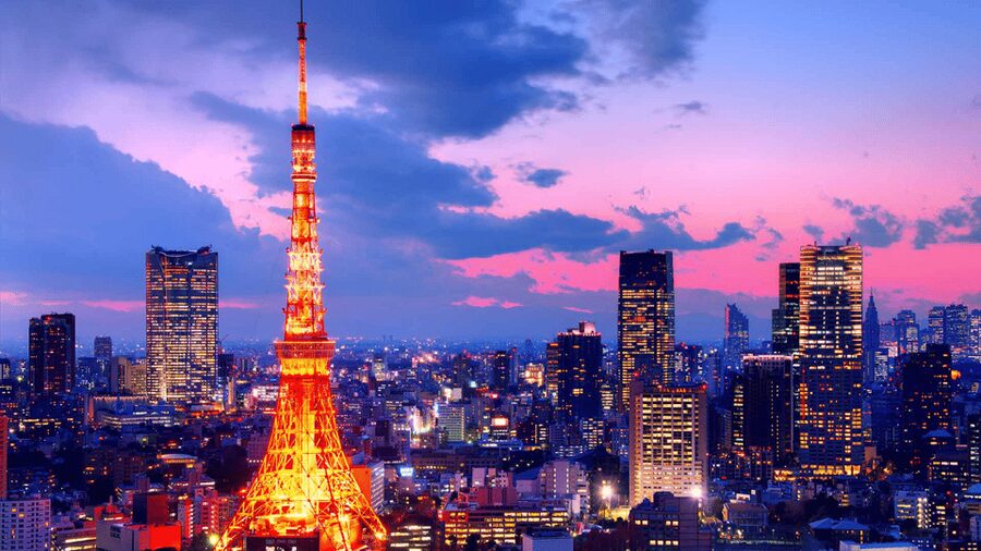 Tokyo Full day Private Customized Tour with English Driver - Tsukiji Fish Market and the best use of 40 minutes