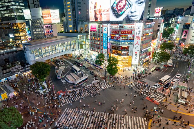 Tokyo Full-Day Private Tour (Customizable) - Senso-ji: Tokyo’s best-known temple setting