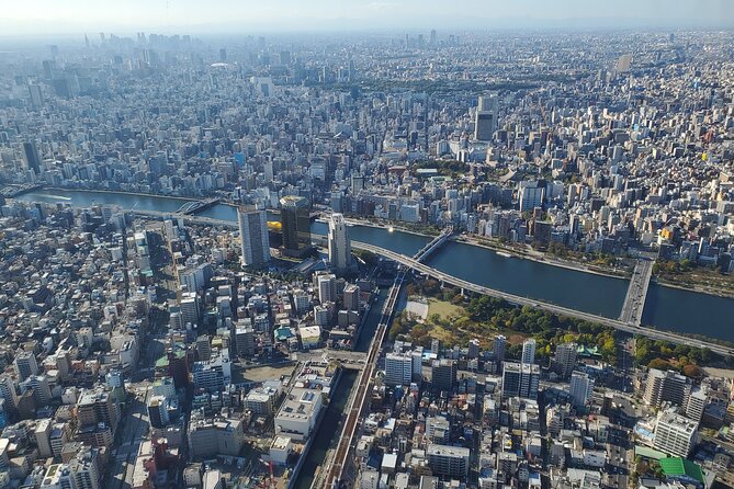 Tokyo Full-Day Private Tour (Customizable) - Tokyo Skytree: the expensive optional view