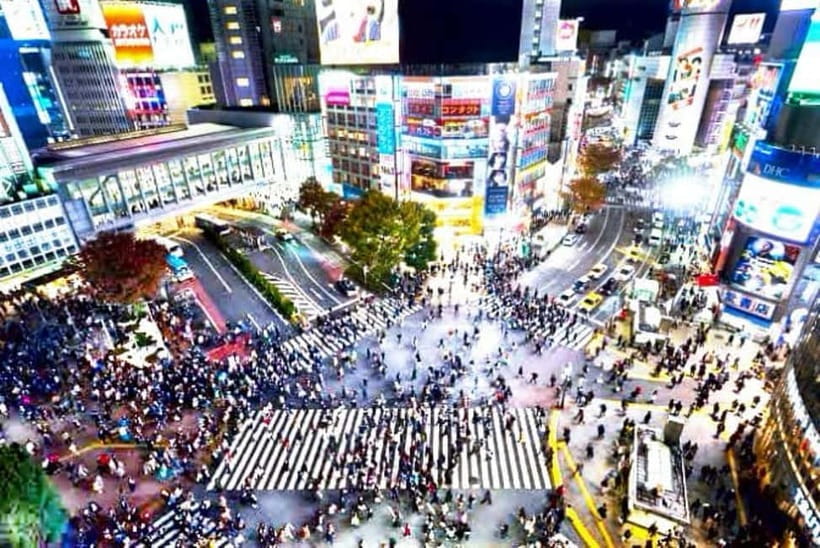 Tokyo Full Day Private Tour With English Speaking Driver - Key points at a glance
