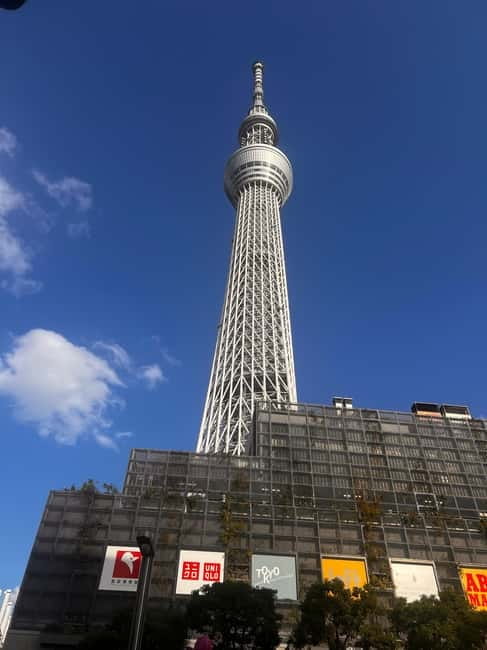 Tokyo Full Day Private Tour With English Speaking Driver - Meiji Shrine: a quieter final major stop