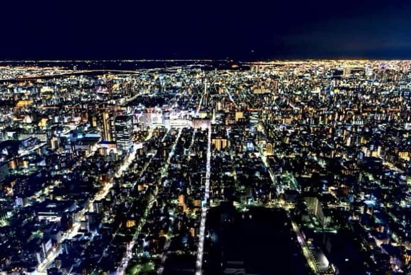 Tokyo Full Day Private Tour With English Speaking Driver - What the $392 group price really buys