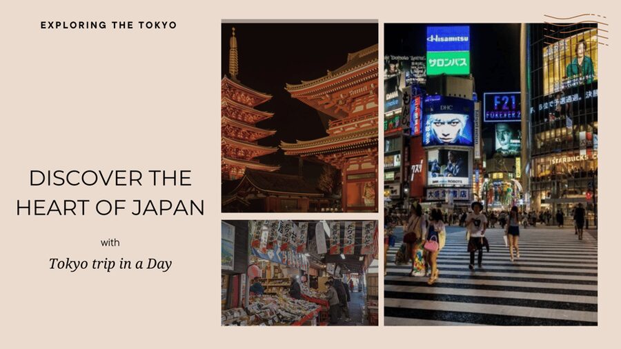 Tokyo full day private tour with Guide - Key things to know before booking