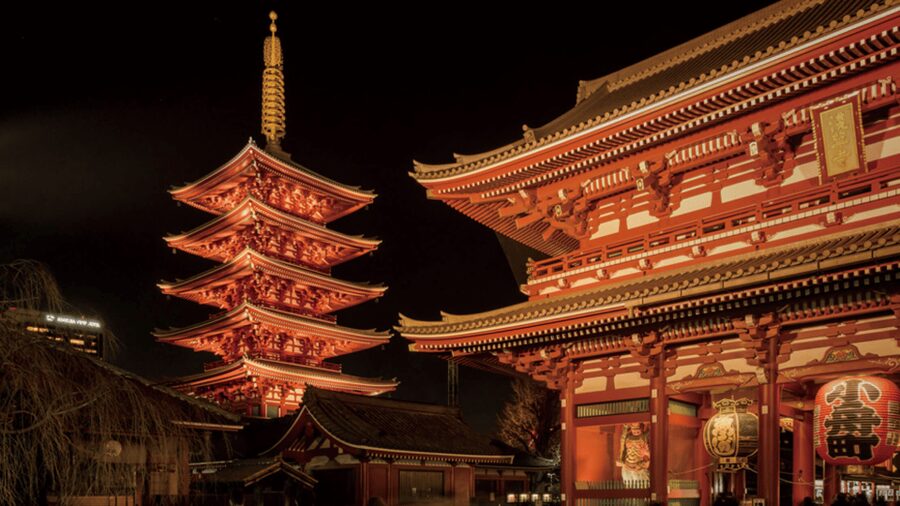 Tokyo full day private tour with Guide - Tokyo in one long private day
