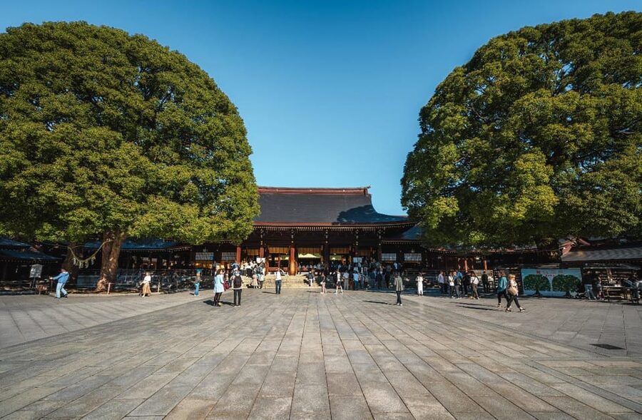 Tokyo full day Spanish speaking tour with hotel pick up and drop off. - Who should book this Tokyo tour?