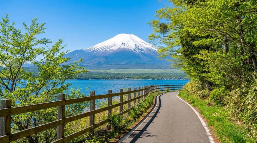 Tokyo: Full-Day Tour of the Six Majestic Spots of Mt Fuji - Why this Tokyo to Fuji day trip works
