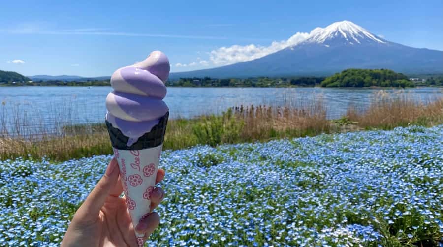 Tokyo: Full-Day Tour of the Six Majestic Spots of Mt Fuji - Arakurayama Sengen Park and the famous pagoda climb