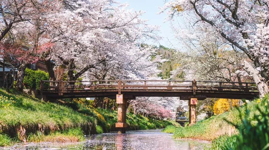 Tokyo: Full-Day Tour of the Six Majestic Spots of Mt Fuji - Oshino Hakkai, eight clear springs and a traditional village