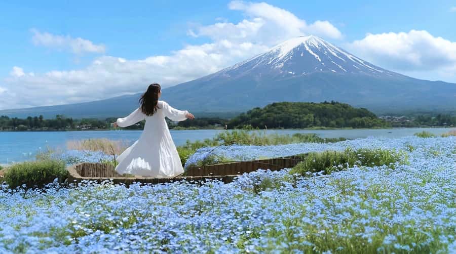 Tokyo: Full-Day Tour of the Six Majestic Spots of Mt Fuji - Oishi Park and the best season for your flower photos