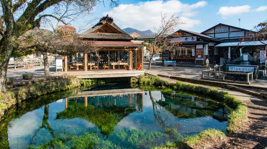 Tokyo: Full-Day Tour of the Six Majestic Spots of Mt Fuji - Transport, guides, and what the $45 covers
