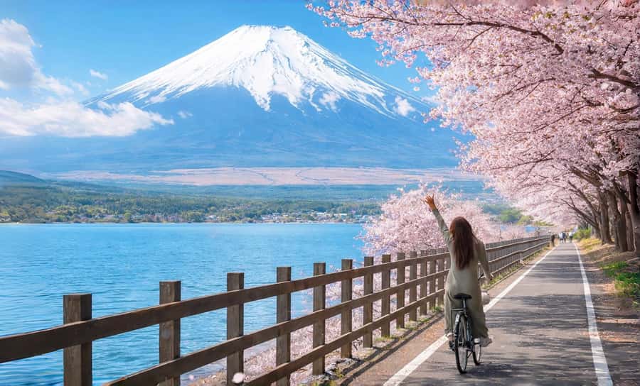 Tokyo: Full-Day Tour of the Six Majestic Spots of Mt Fuji - Hirano Beach and the morning Fuji reflection