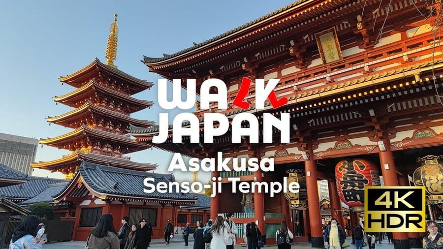 Tokyo Full-Day Tour Skytree Meiji Shrine With English Driver - Tsukiji Outer Market: make room for a food break